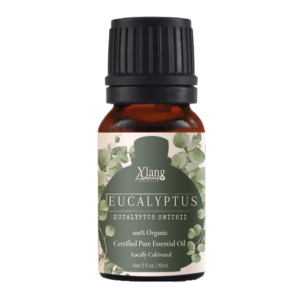 Eucalyptus Smitthi (Cert Pure & Tested Organic)