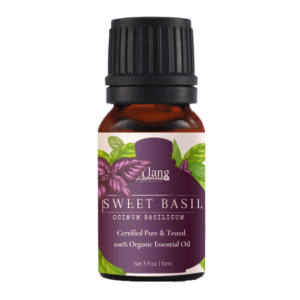 Sweet Basil (Certified Pure & Tested Organic)