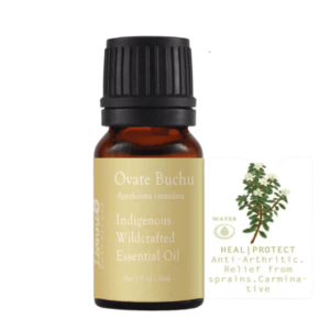 Buchu Ovate (Cert Pure & Tested Wildcrafted)