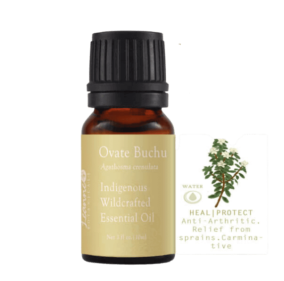 Buchu Ovate (Cert Pure & Tested Wildcrafted)