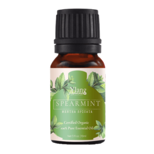 Spear mint Essential Oil by Ylang Leanne