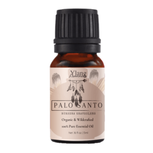Palo Santo (Organic & Wildcrafted)