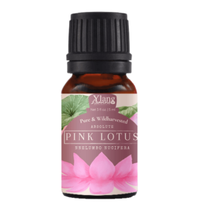 Pink Lotus Absolute (Organic)