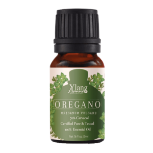 Origanum essential oil Oregano